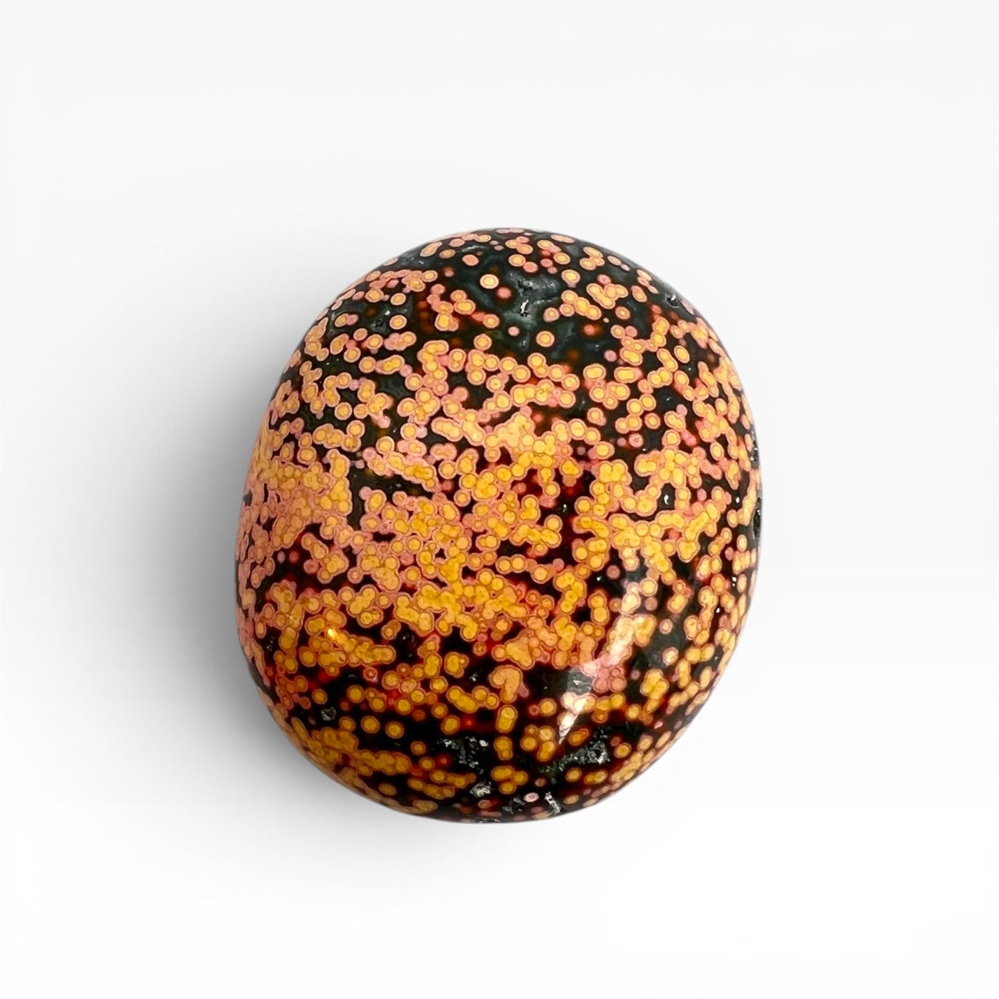 Marovato Ocean Jasper Palm Stone - Veinless Orbicular Jasper Crystal from Madagascar