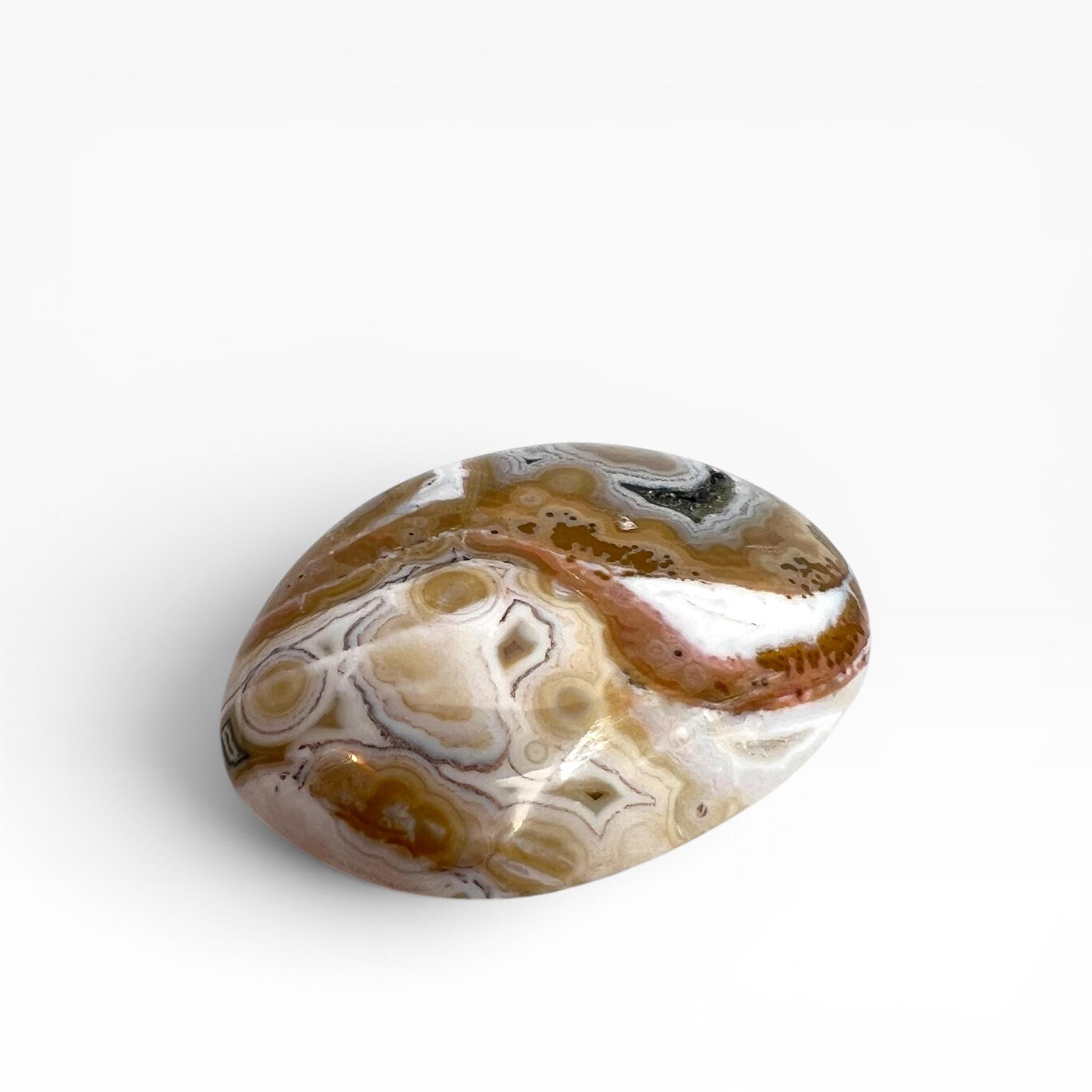 Marovato Ocean Jasper Palm Stone - Vein 8 Orbicular Jasper Crystal from Madagascar