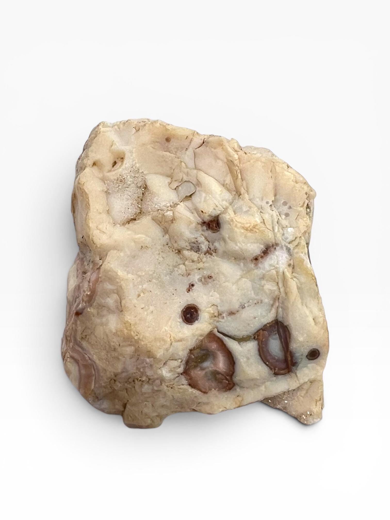 Ocean Jasper Vein 1-2 Rare Collector Semi Polished Piece