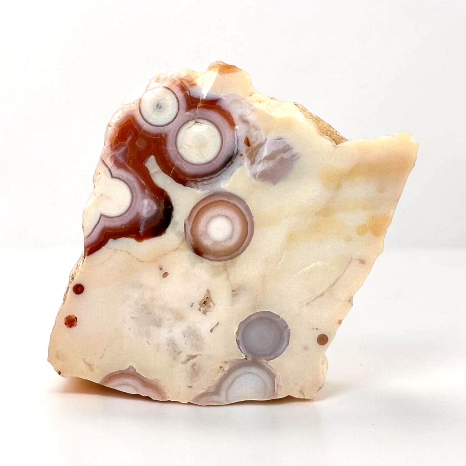 Ocean Jasper Vein 1-2 Rare Collector Semi Polished Piece