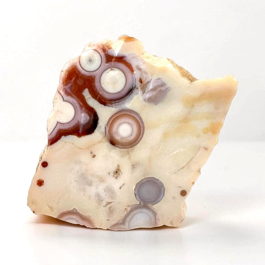 Ocean Jasper Vein 1-2 Rare Collector Semi Polished Piece