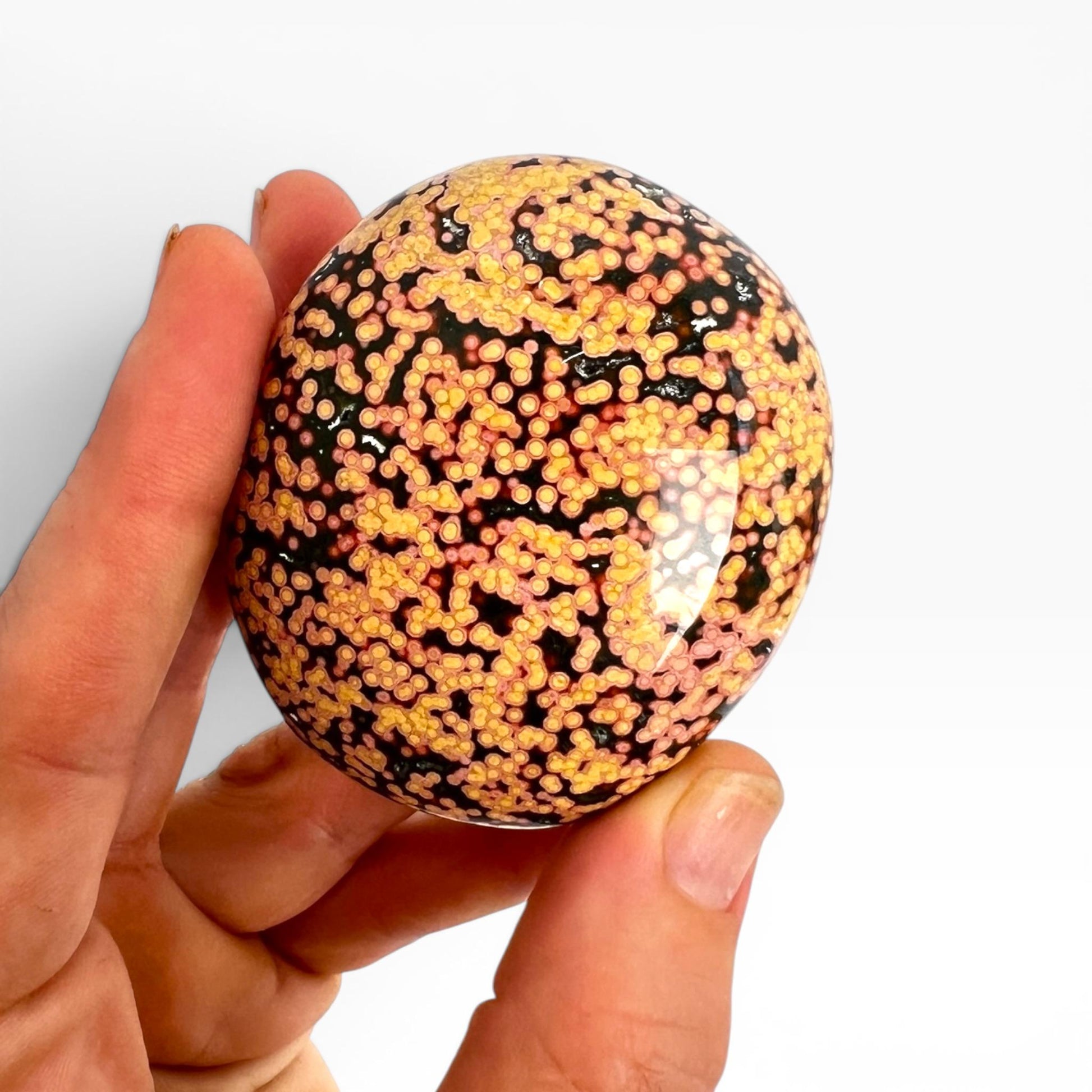 Marovato Ocean Jasper Palm Stone - Veinless Orbicular Jasper Crystal from Madagascar