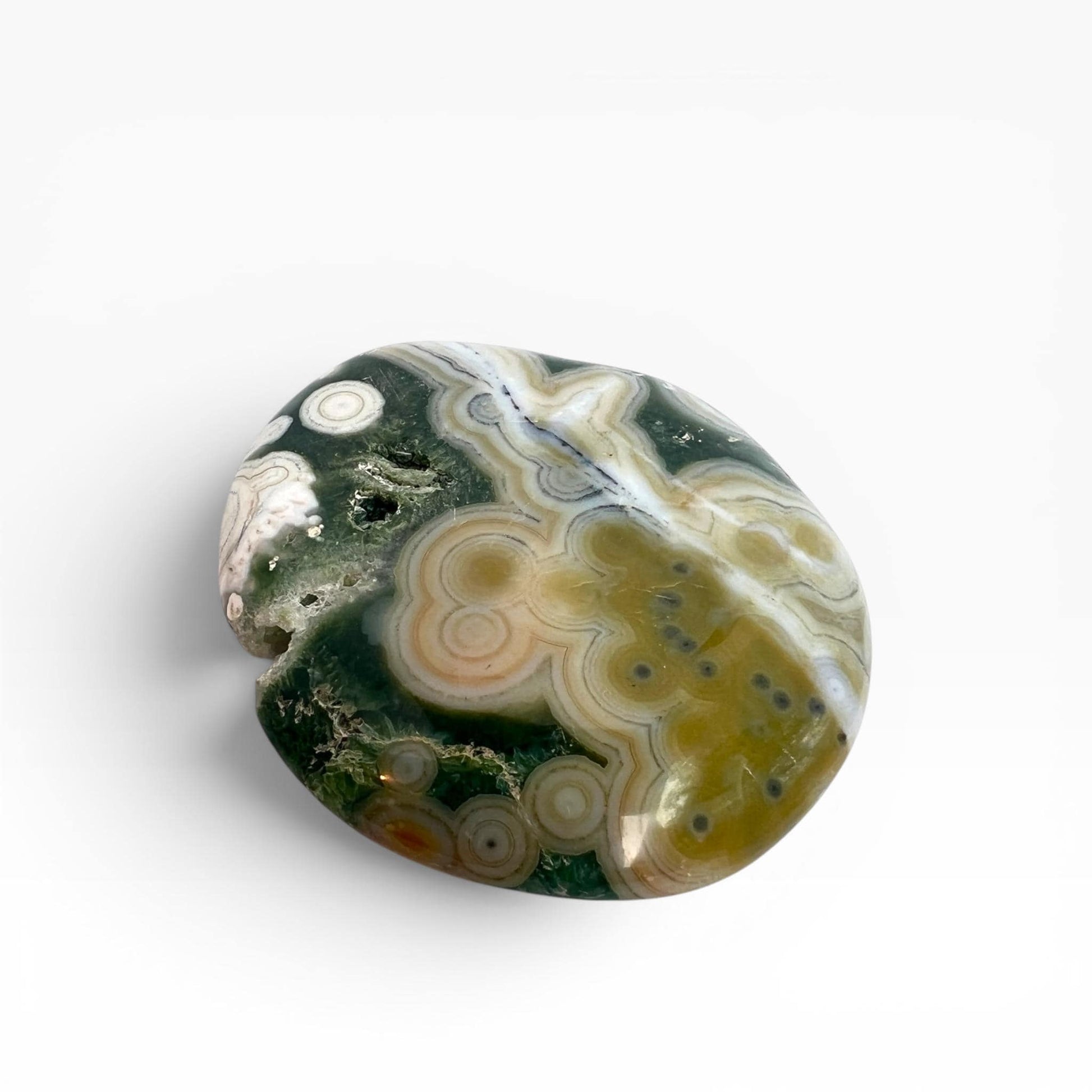 Marovato Ocean Jasper Palm Stone - Vein 8 Orbicular Jasper from Madagascar