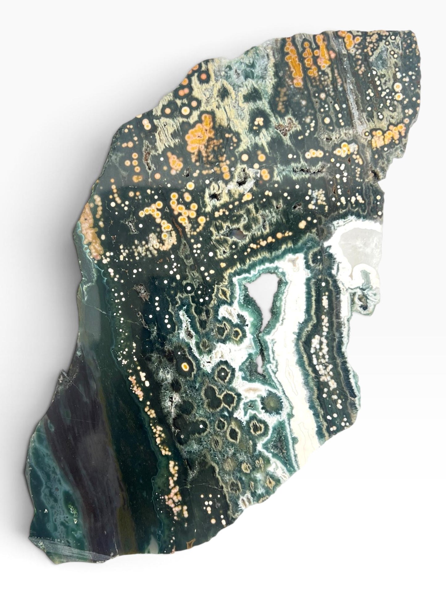 Ocean Jasper Marovato Slab : Polished Early Vein Collection Piece