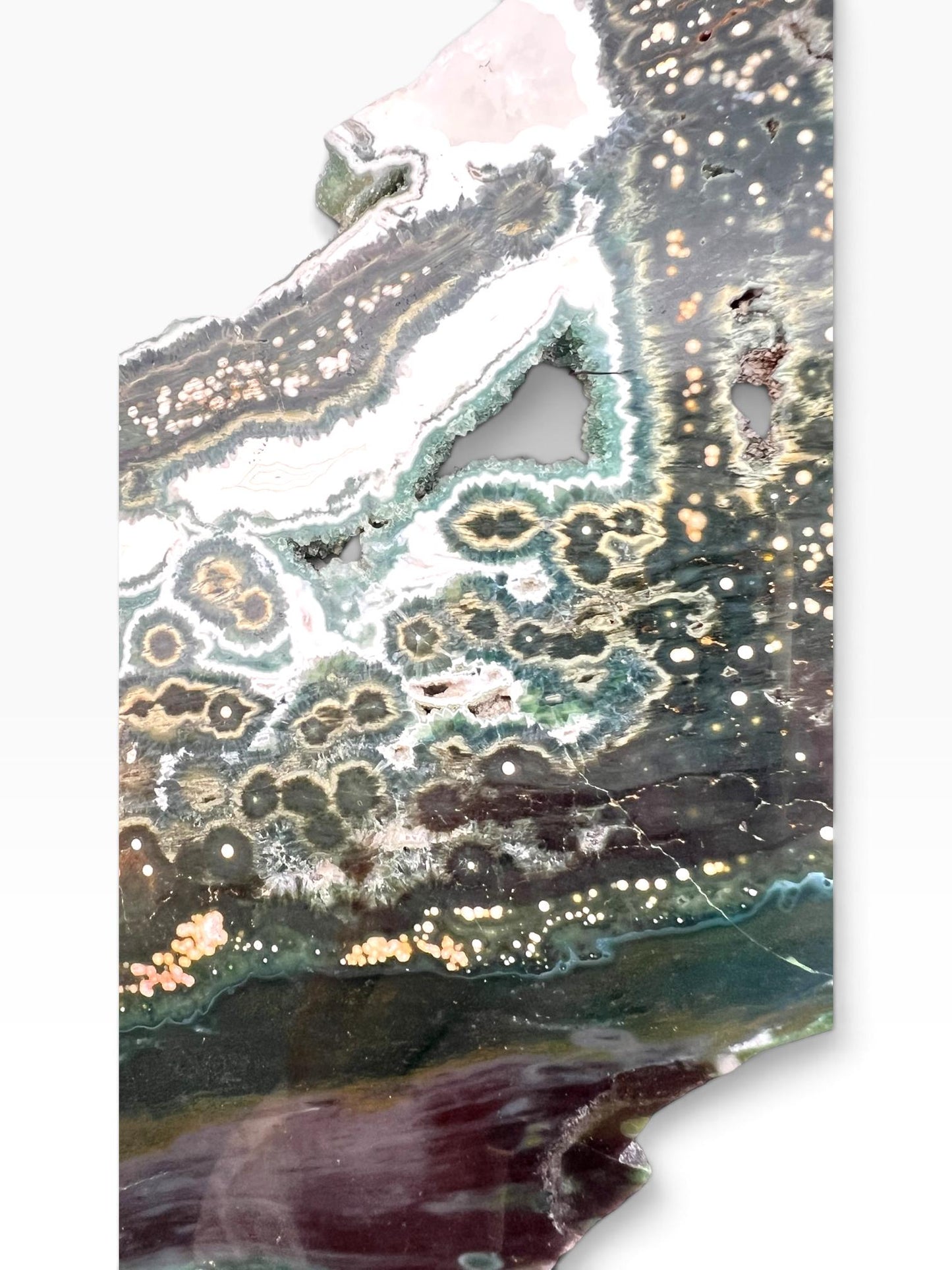 Ocean Jasper Marovato Slab : Polished Early Vein Collection Piece
