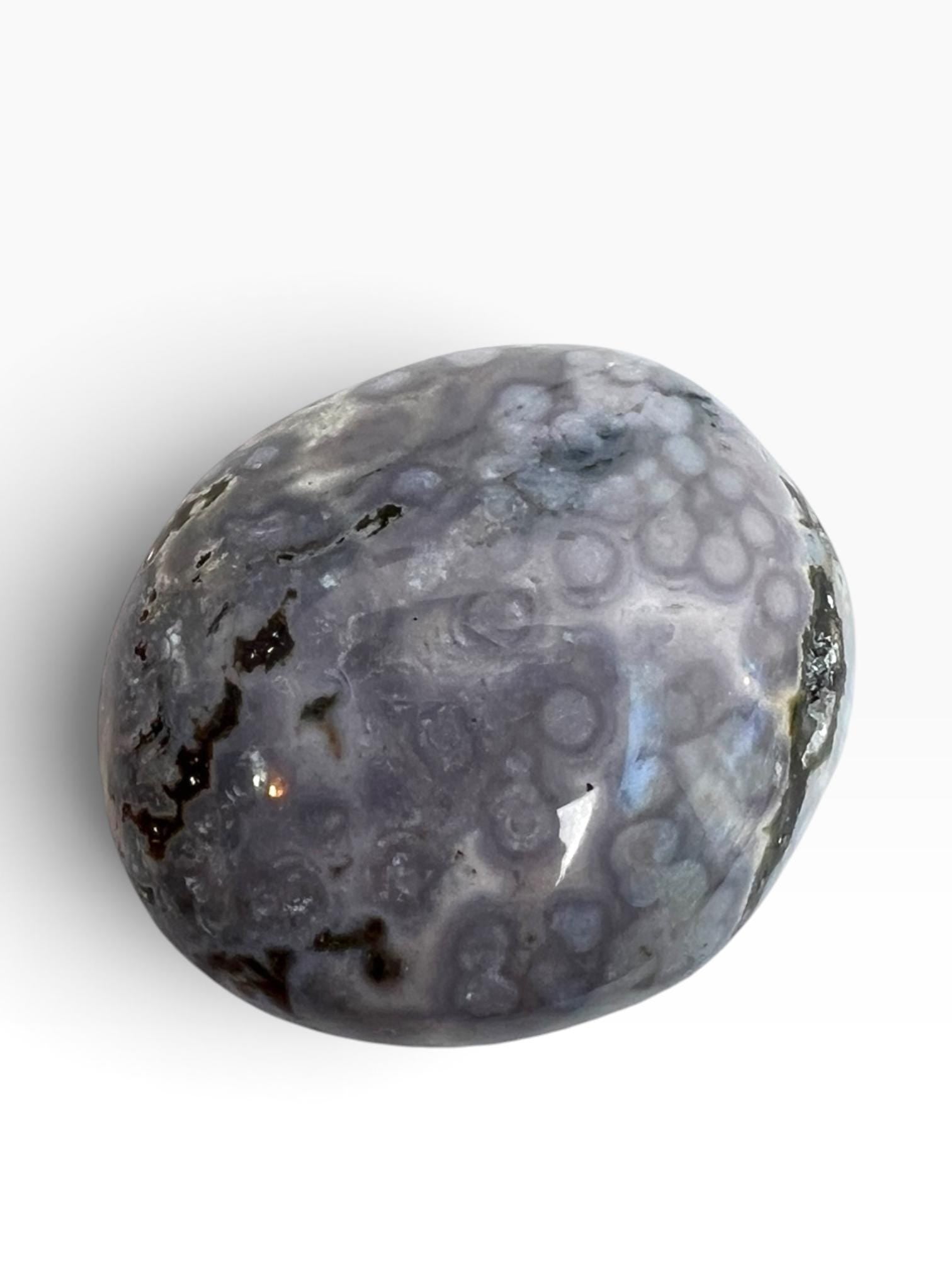 Marovato Ocean Jasper Palm Stone - Vein 8 Orbicular Jasper from Madagascar