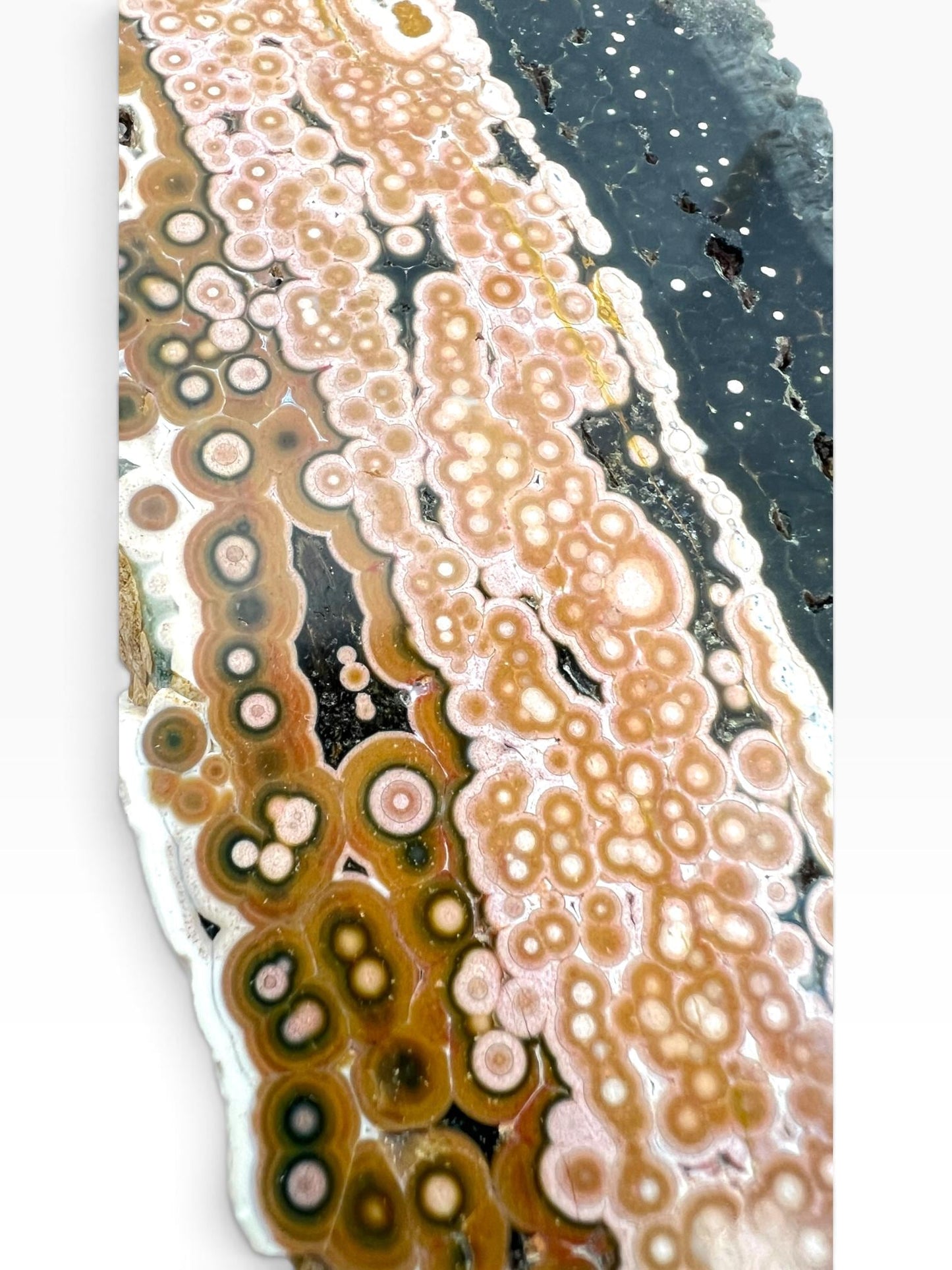 Ocean Jasper Marovato Slab : Semi Polished