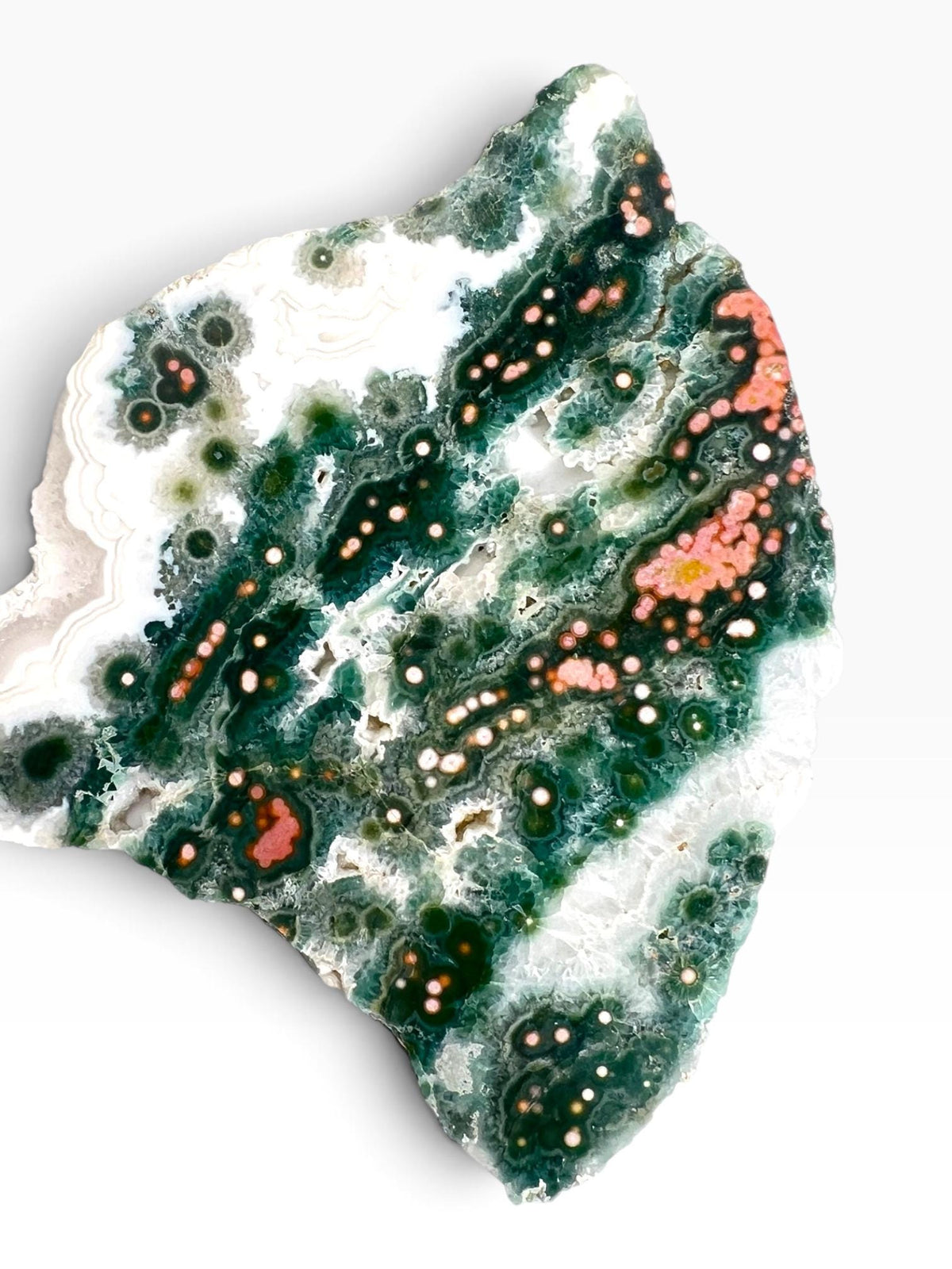 Ocean Jasper Slab : Early Vein 1-2 Old Stock Flower Orbs