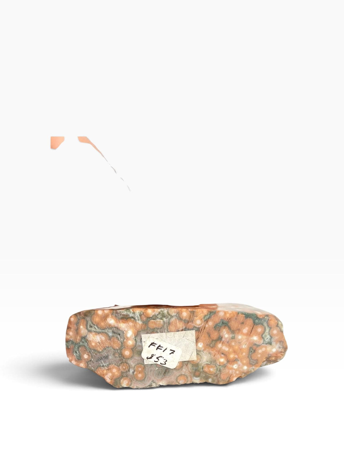 Ocean Jasper Semi Polished Free Form | Early Vein 1-2 Old Stock