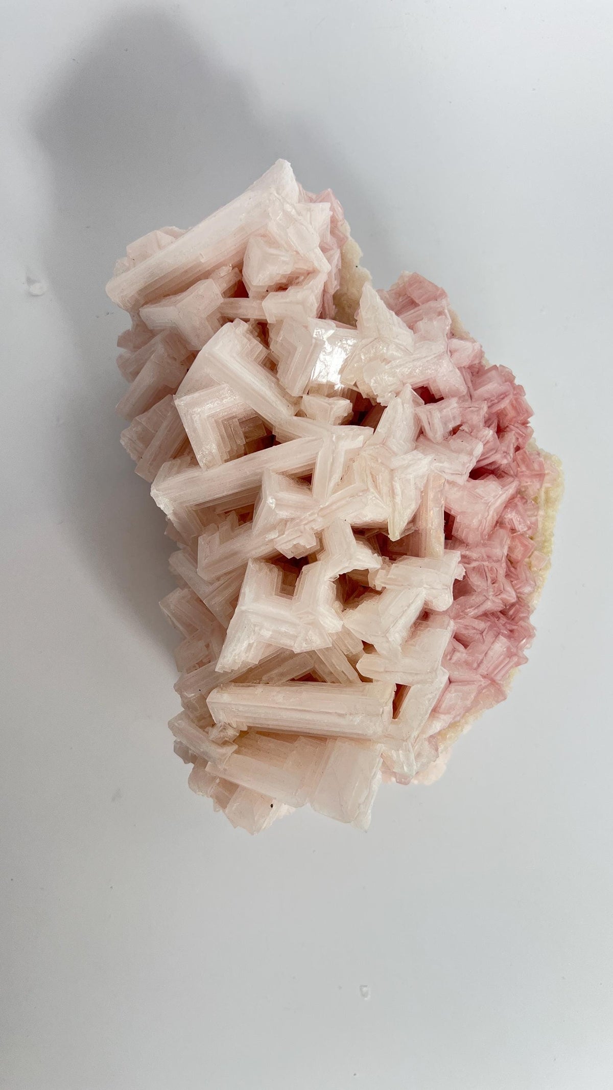 Hand Collected Pink Halite Crystal - XLarge Hopper Formation from Searles Lake CA