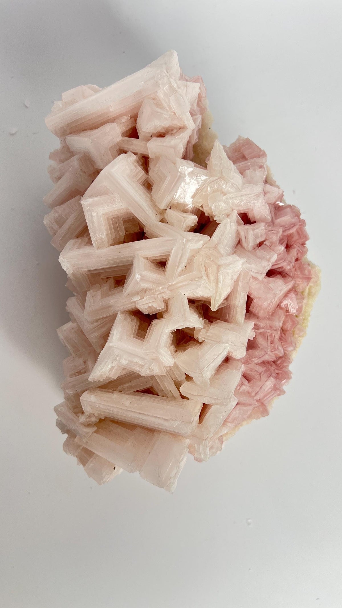 Hand Collected Pink Halite Crystal - XLarge Hopper Formation from Searles Lake CA