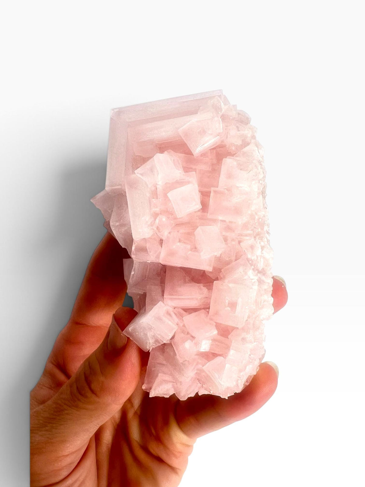 Hand Collected Pink Halite Crystal -Hopper Formation from Searles Lake