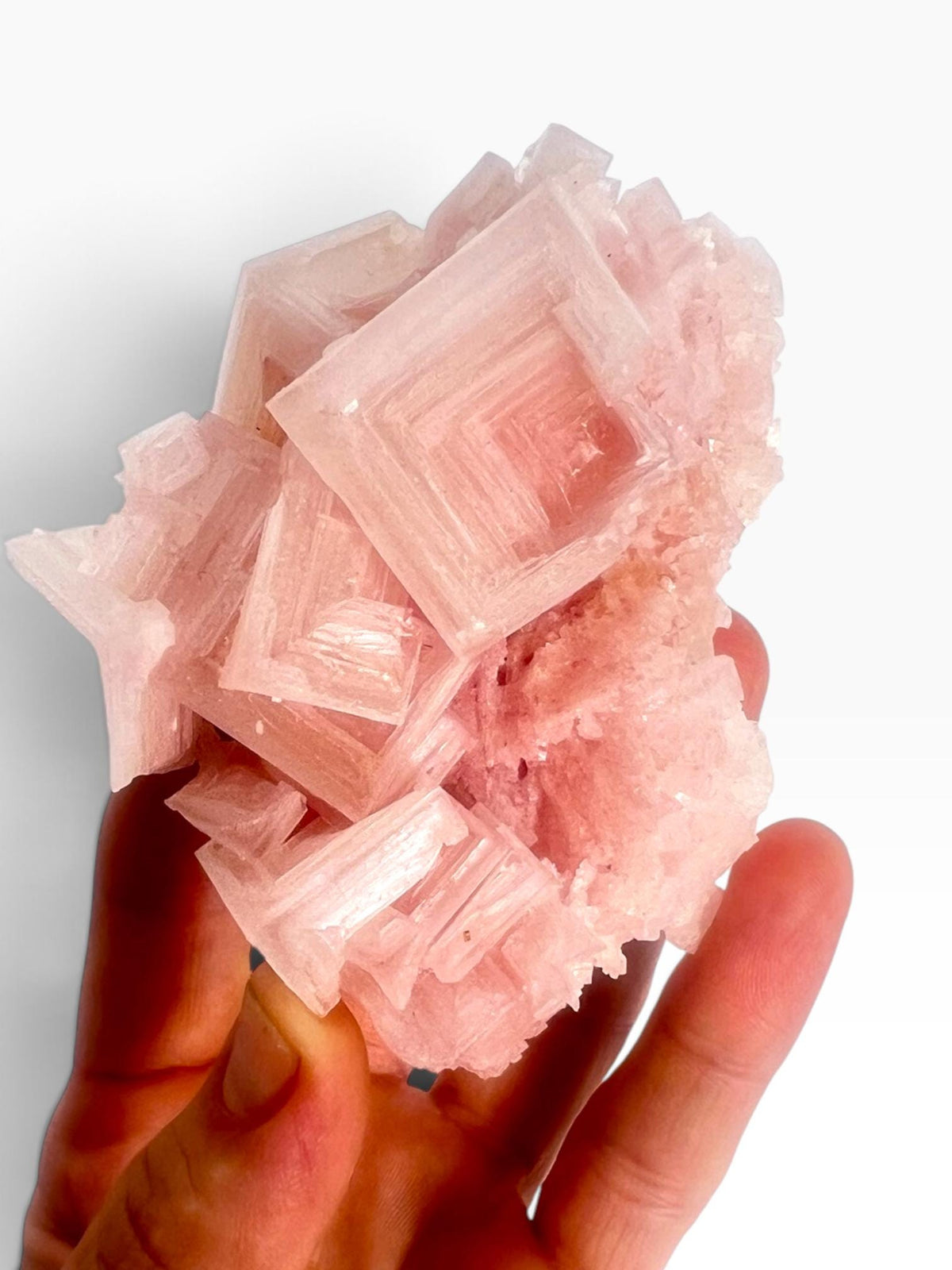 Hand Collected Pink Halite Crystal -Hopper Formation from Searles Lake