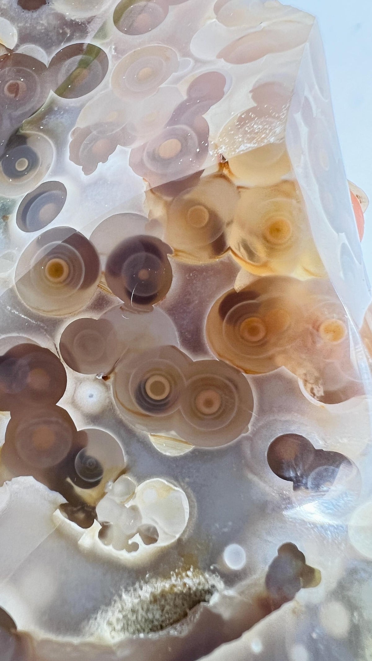 Incredible Ocean Jasper Fish Eye Orb Flame Free Form | Collector Vein 3-4