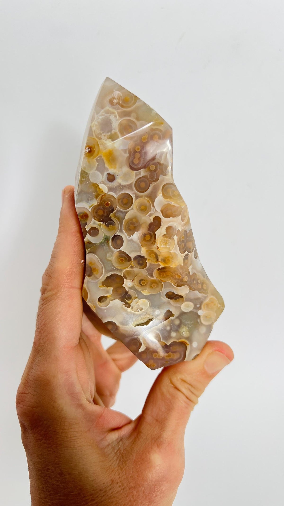 Incredible Ocean Jasper Fish Eye Orb Flame Free Form | Collector Vein 3-4