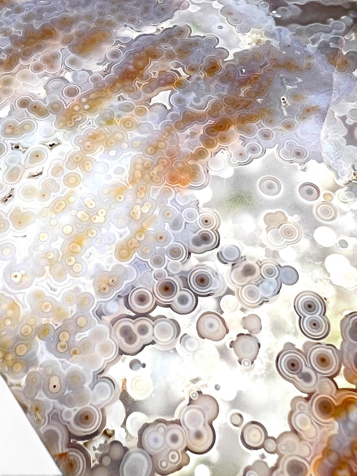 Ocean Jasper Jelly Orb Slab : Old Stock Vein 3-4