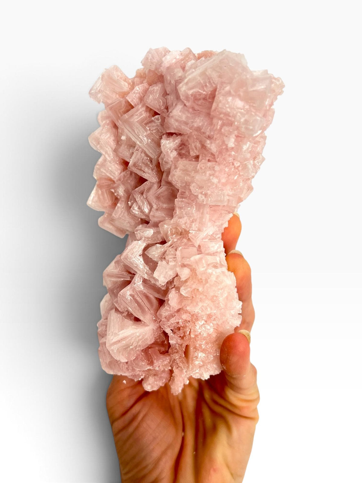 Hand Collected Pink Halite Crystal - Large Hopper Formation from Searles Lake