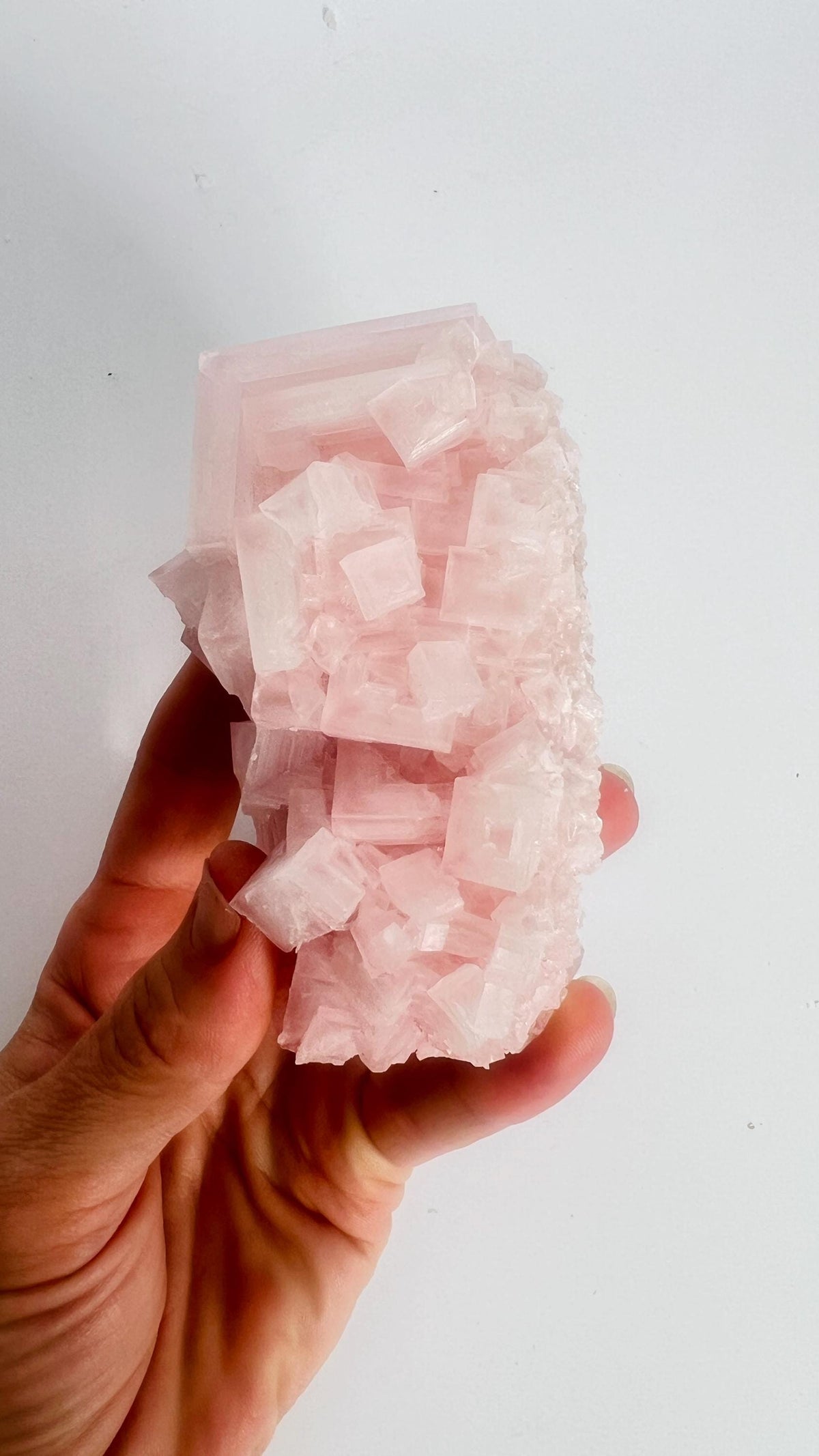 Hand Collected Pink Halite Crystal -Hopper Formation from Searles Lake