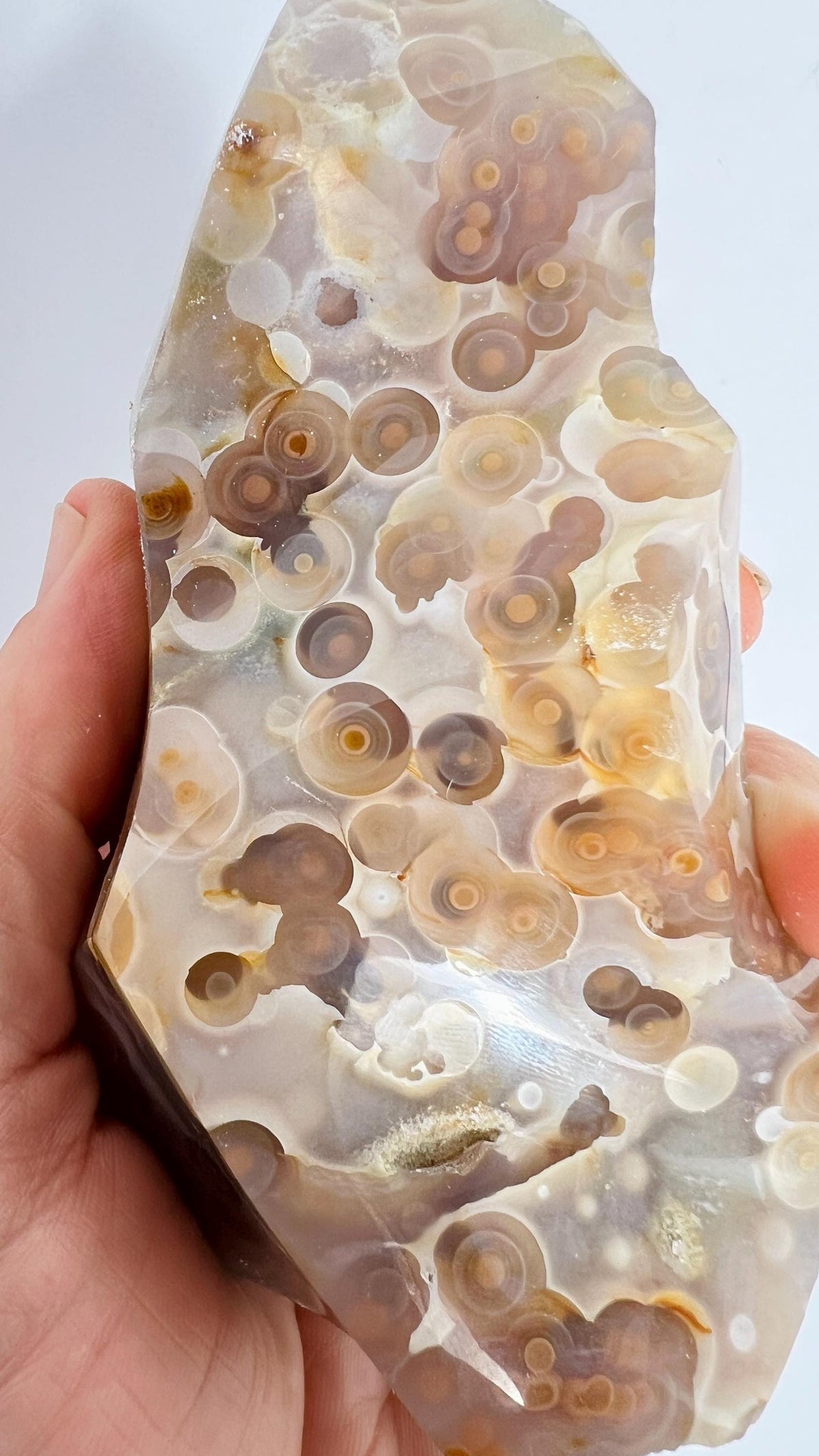 Incredible Ocean Jasper Fish Eye Orb Flame Free Form | Collector Vein 3-4