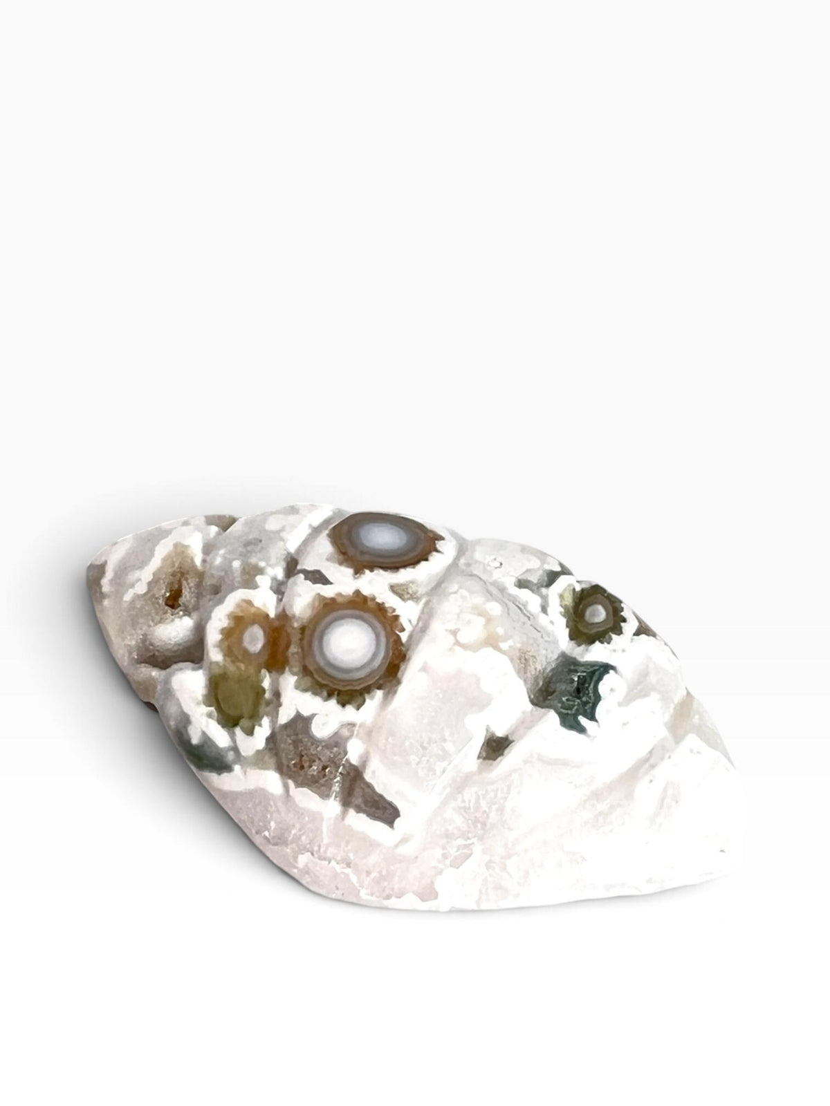 Old Stock Ocean Jasper Carved Sea Shell | Vein 1-2