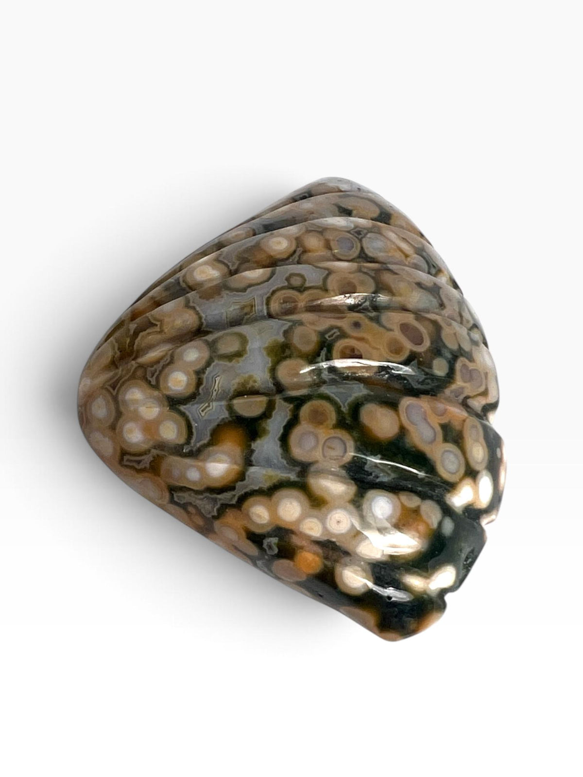 Old Stock Ocean Jasper Carved Sea Shell