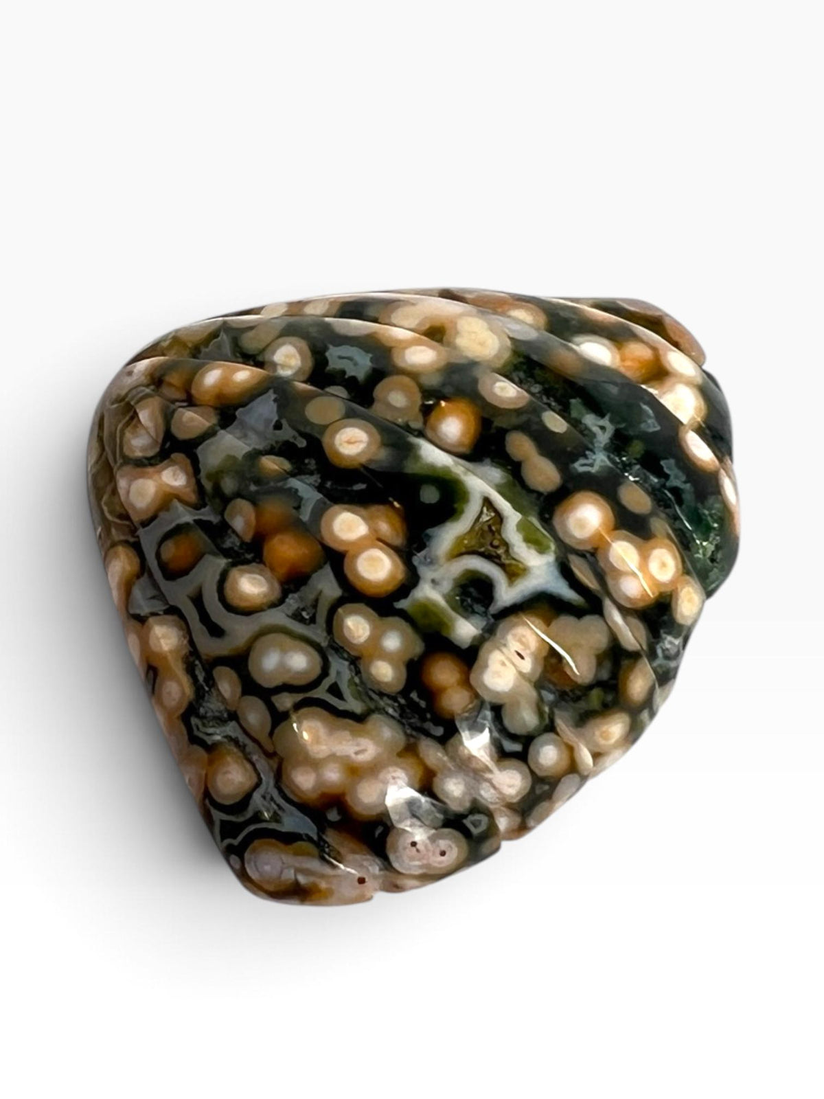 Old Stock Ocean Jasper Carved Sea Shell
