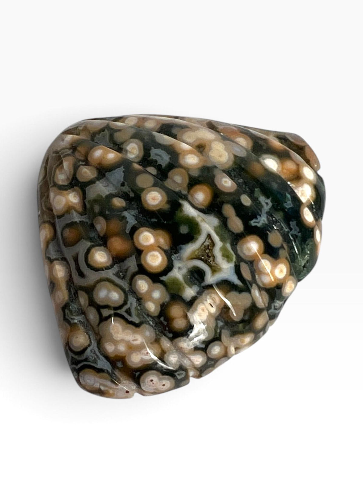 Old Stock Ocean Jasper Carved Sea Shell
