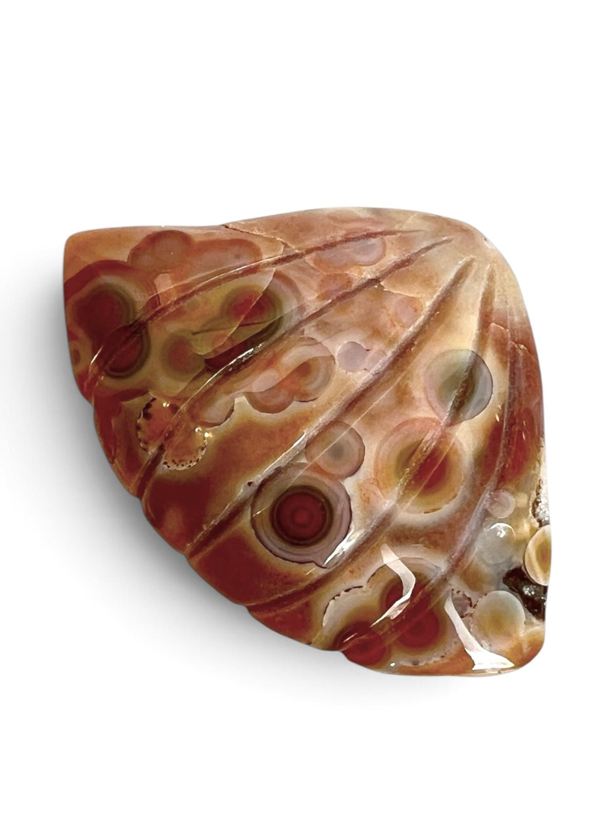 Old Stock Ocean Jasper Carved Sea Shell Brown with Bullseye Orbs