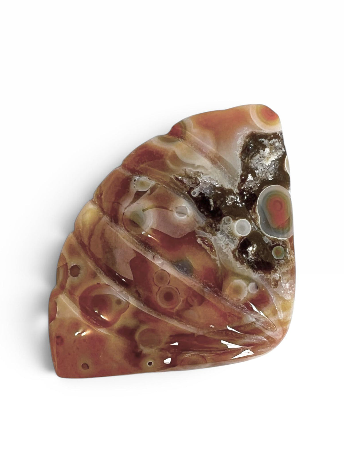 Old Stock Ocean Jasper Carved Sea Shell Brown with Bullseye Orbs