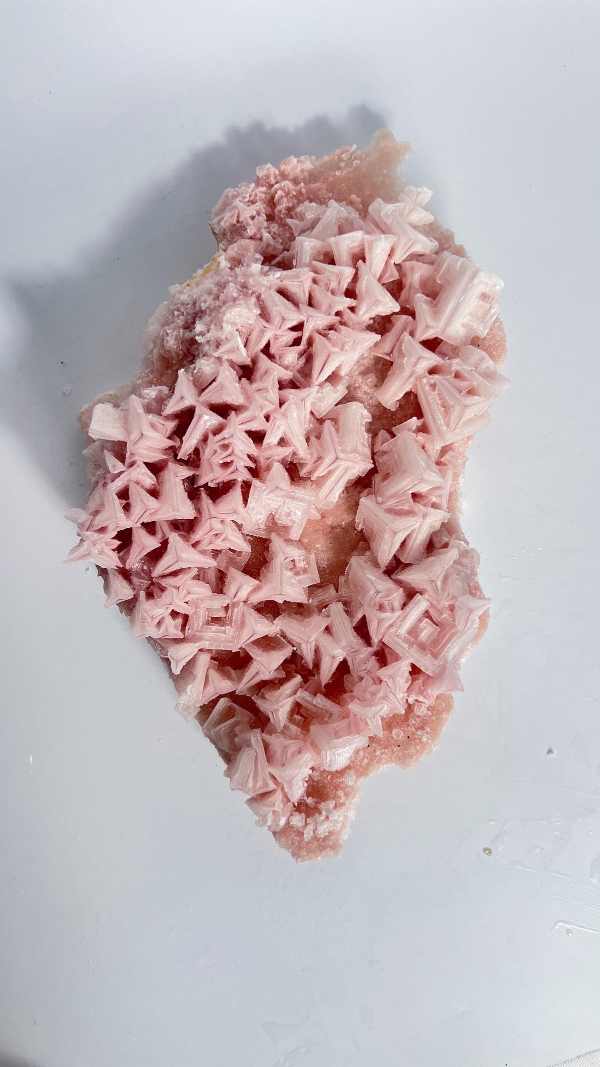 Pink Halite Large Specimen| Self Collected Crystal - Searles Lake