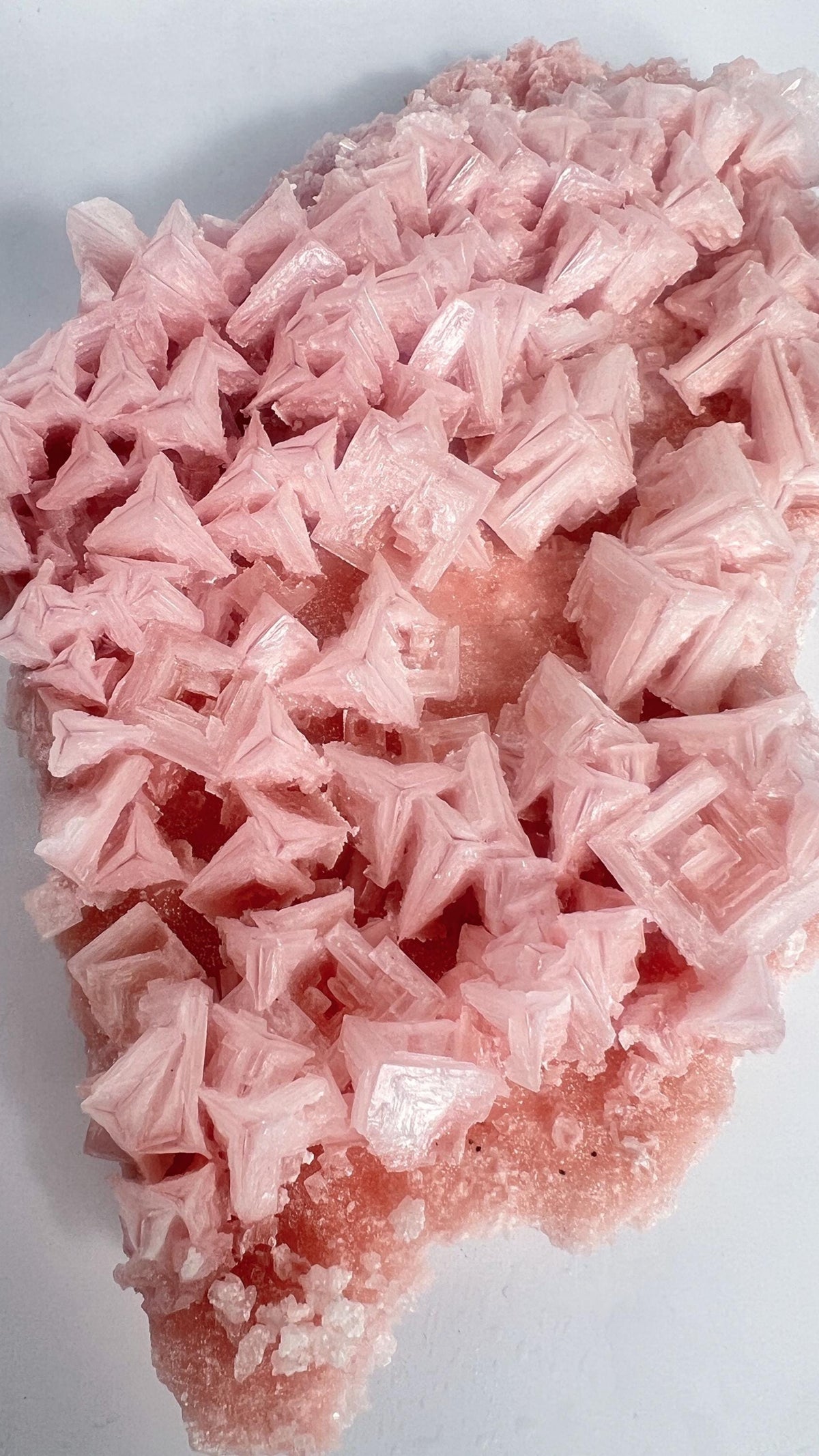 Pink Halite Large Specimen| Self Collected Crystal - Searles Lake