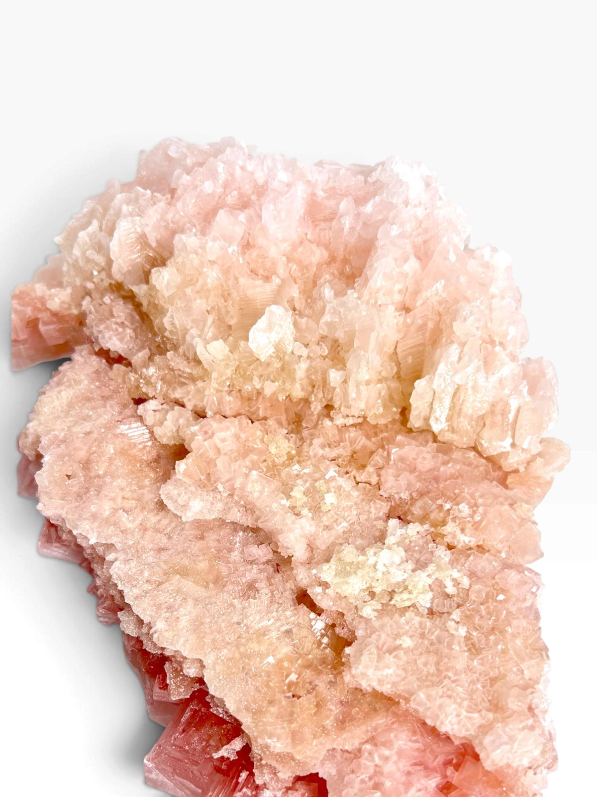 Hand Collected Bubblegum Pink XL Halite Crystal | Hopper Formation from Searles Lake CA