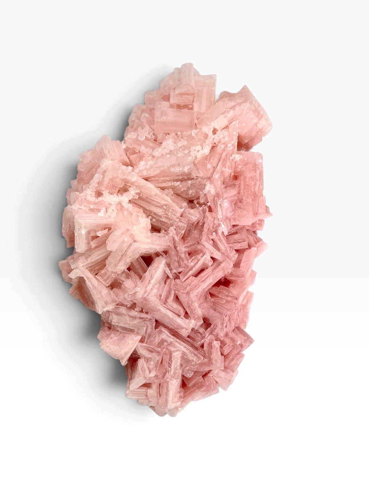 Hand Collected Bubblegum Pink XL Halite Crystal | Hopper Formation from Searles Lake CA