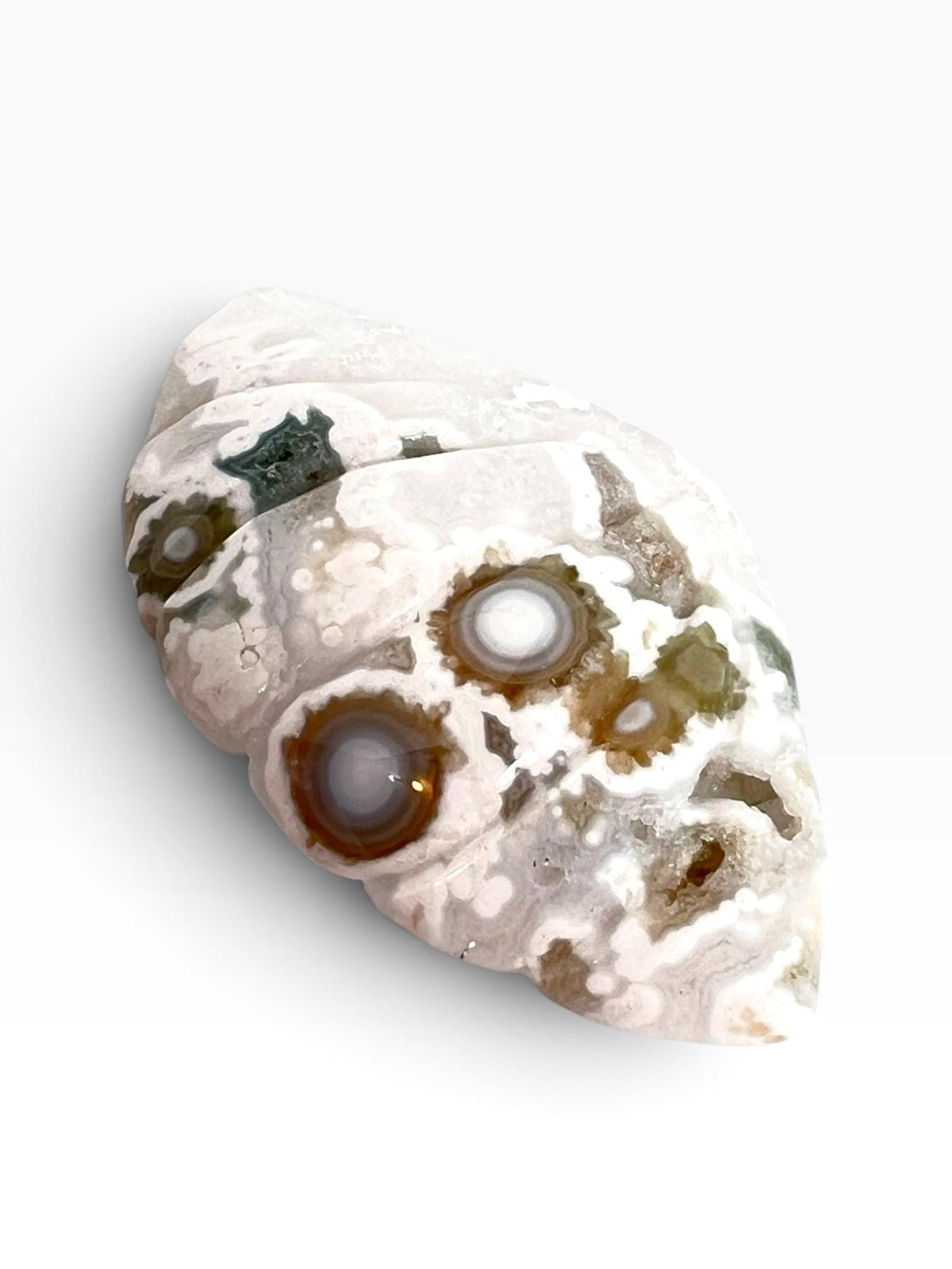 Old Stock Ocean Jasper Carved Sea Shell | Vein 1-2