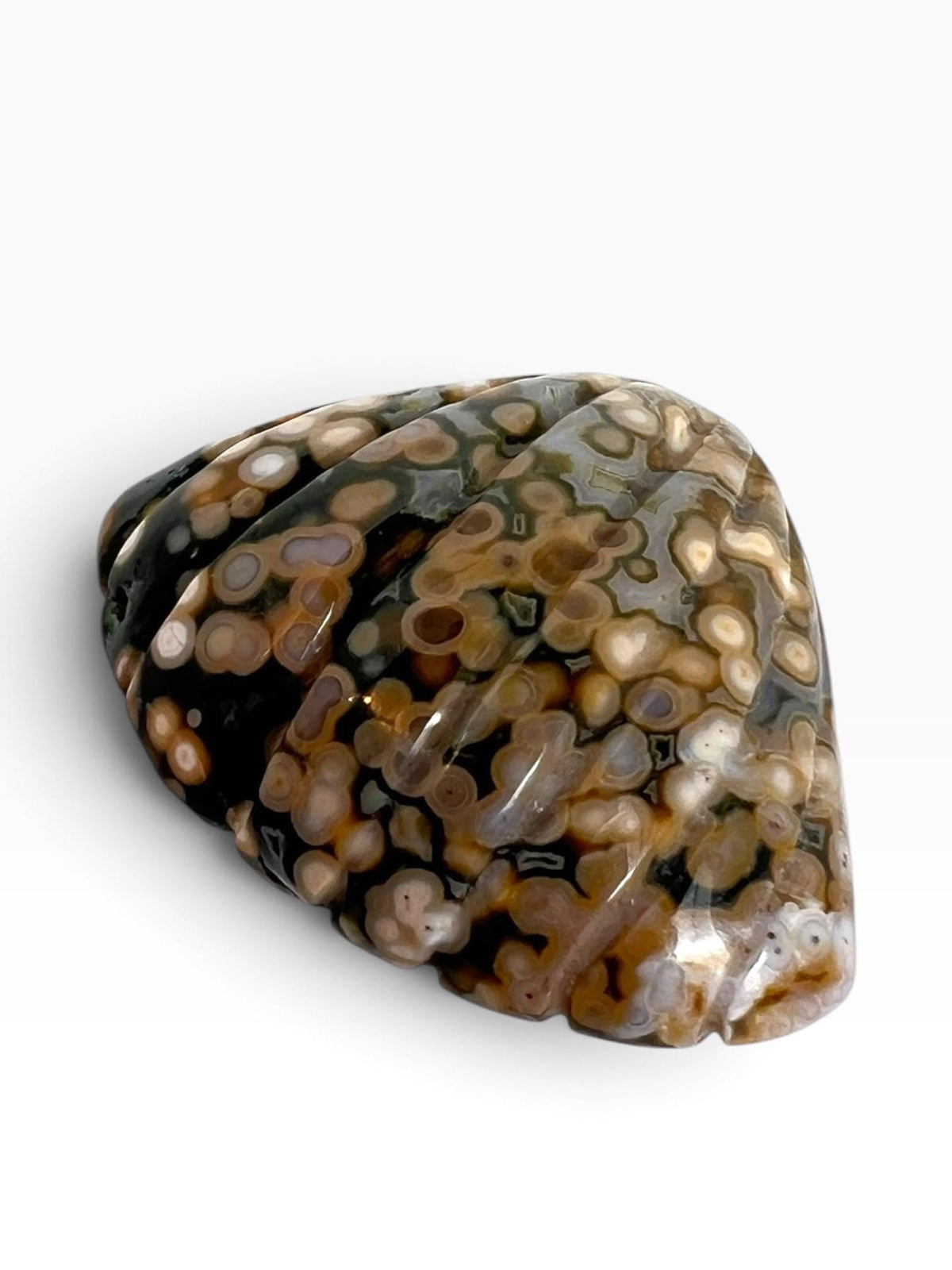 Old Stock Ocean Jasper Carved Sea Shell