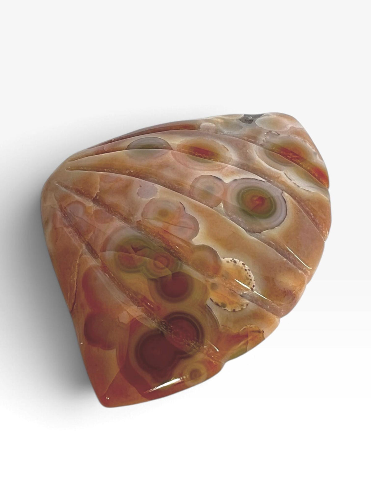 Old Stock Ocean Jasper Carved Sea Shell Brown with Bullseye Orbs