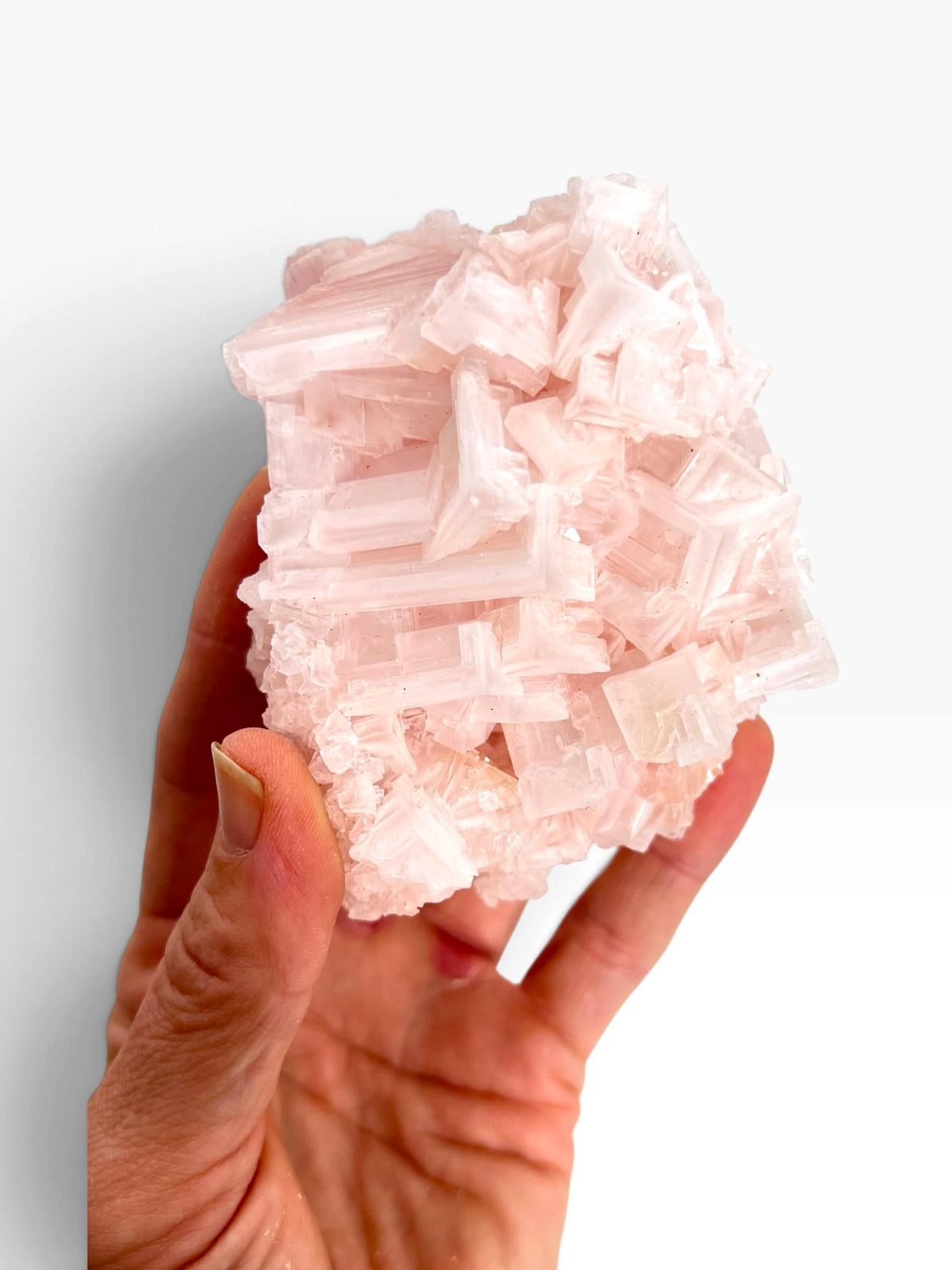 Hand Collected Bubblegum Pink Halite Crystal | Hopper Formation from Searles Lake CA