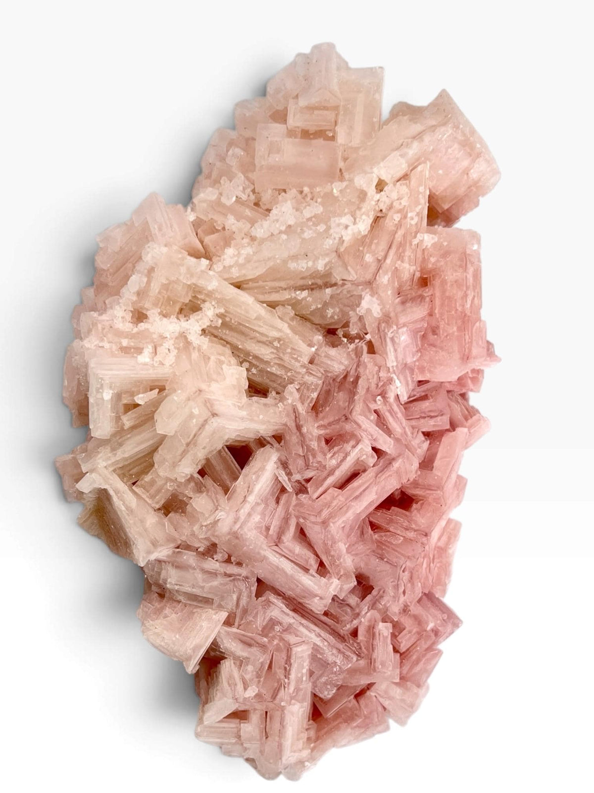 Hand Collected Bubblegum Pink XL Halite Crystal | Hopper Formation from Searles Lake CA