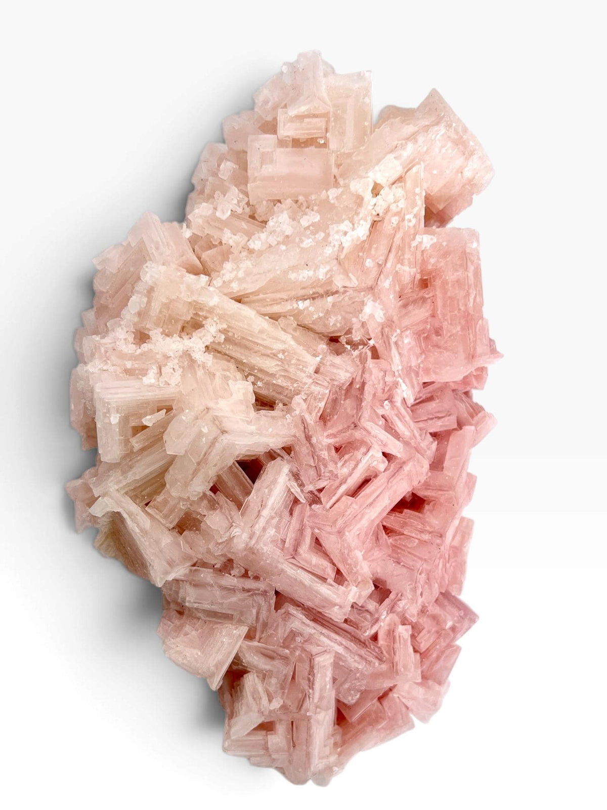 Hand Collected Bubblegum Pink XL Halite Crystal | Hopper Formation from Searles Lake CA