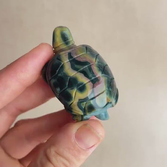 Ocean Jasper Carved Turtle: Marovato Crystal Figurine