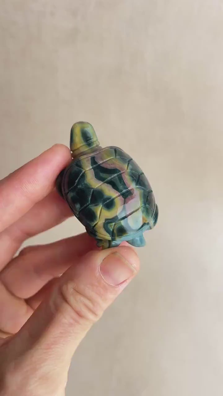 Ocean Jasper Carved Turtle: Marovato Crystal Figurine