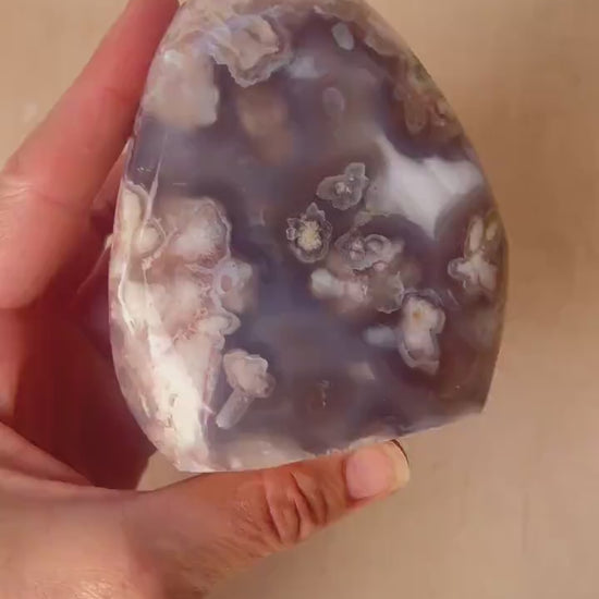 Blue Flower Agate: Fully Polished Free Form Crystal Decor