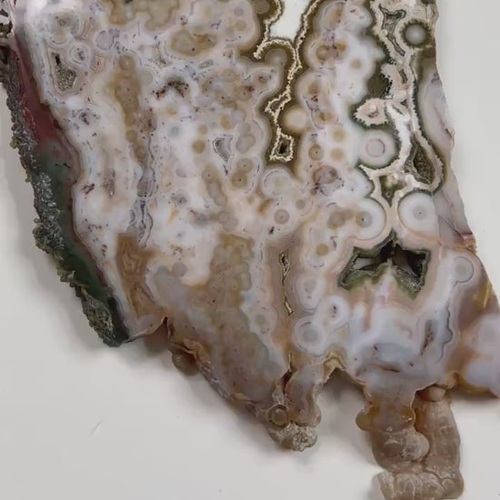 Ocean Jasper Slab : Vein 8 Rare Brown Presentation