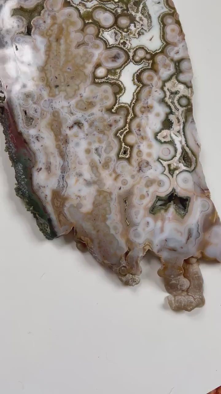 Ocean Jasper Slab : Vein 8 Rare Brown Presentation