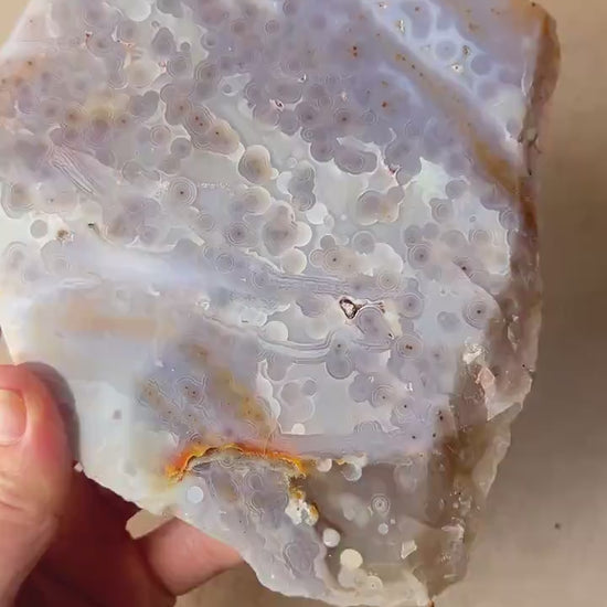 Ocean Jasper Jelly Slab: Old Stock Vein 3-4