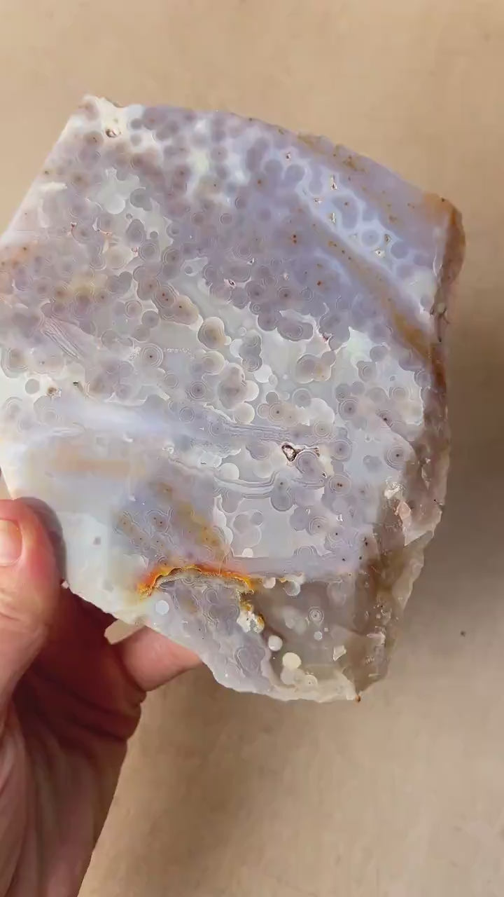 Ocean Jasper Jelly Slab: Old Stock Vein 3-4