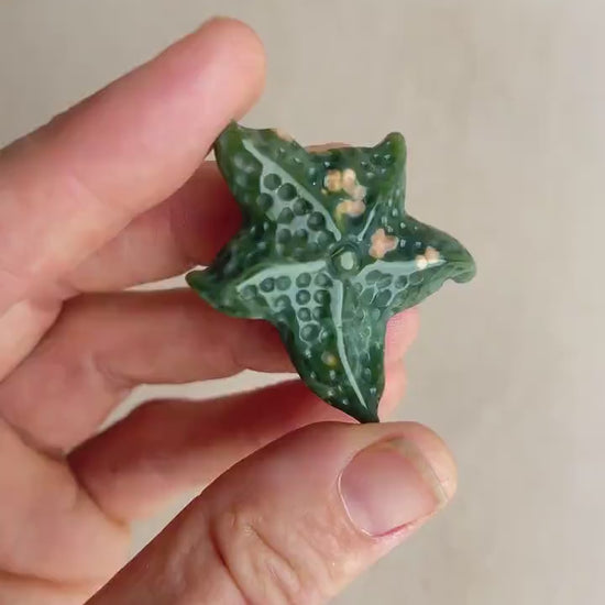 Hand Carved Ocean Jasper Starfish: Coastal Decor Crystal Figurine