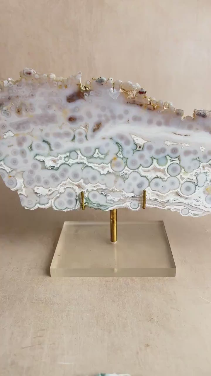 Vein 1 - 2  Ocean Jasper Slab White and Green with Bullseye Orbs