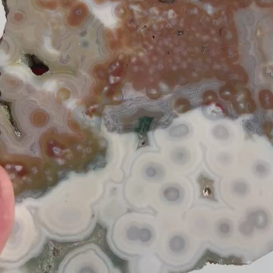 Vein 1 - 2  Ocean Jasper Slab  / Flower burst orbs / OJU21