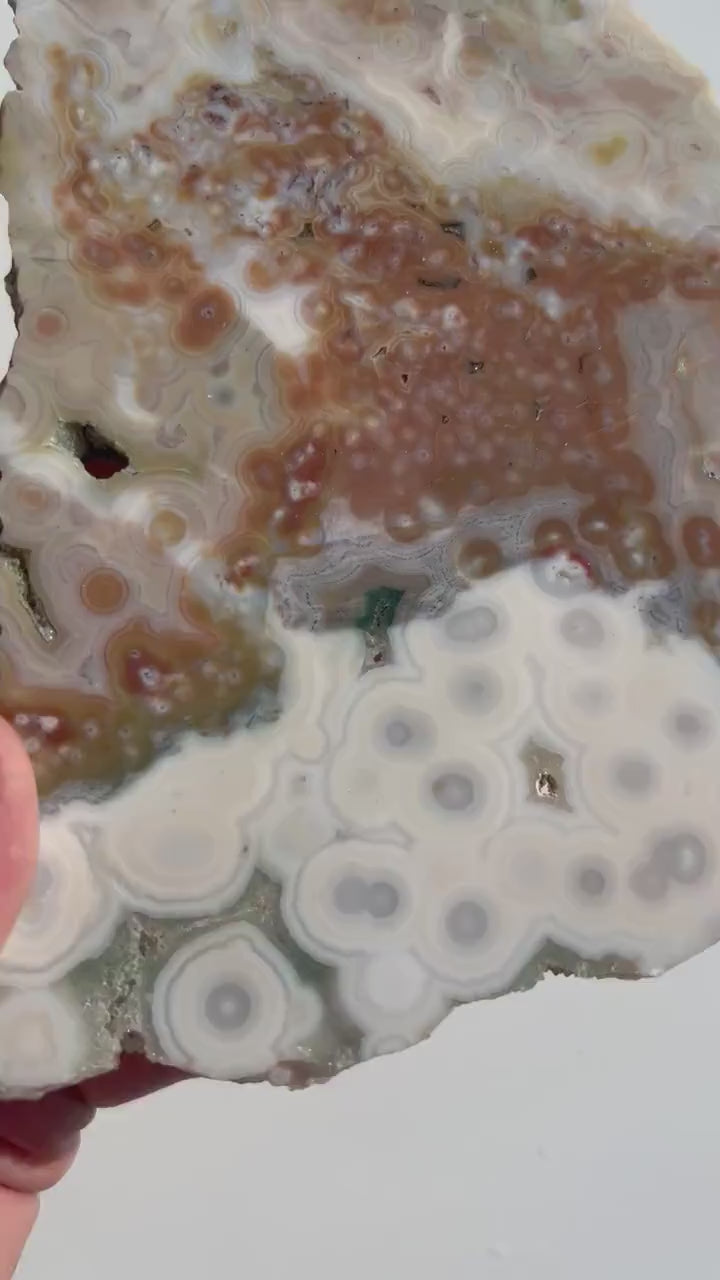Vein 1 - 2  Ocean Jasper Slab  / Flower burst orbs / OJU21
